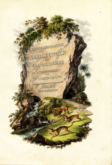 Title Page from Karl Joseph Brodtmann