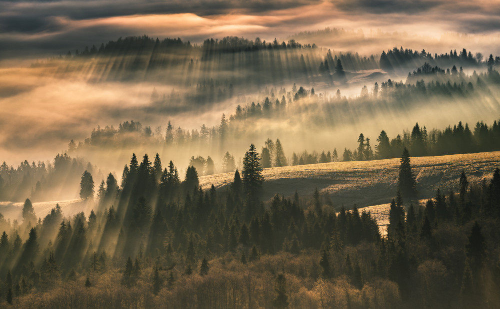 The Mist from Karol Nienartowicz