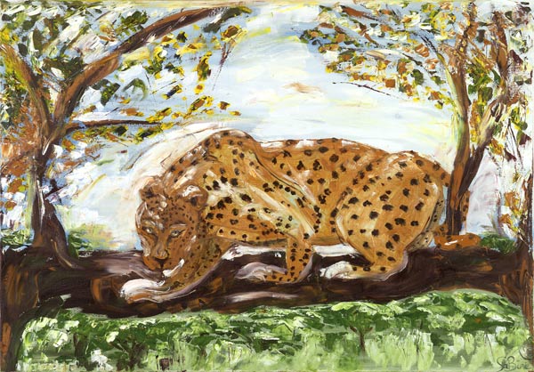 Leopard from Sabine Katterle