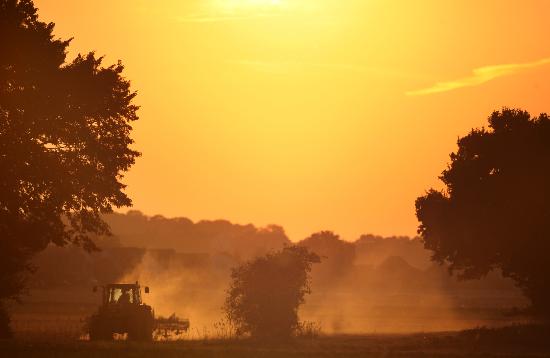 Traktor im Sonnenuntergang from Kay Nietfeld