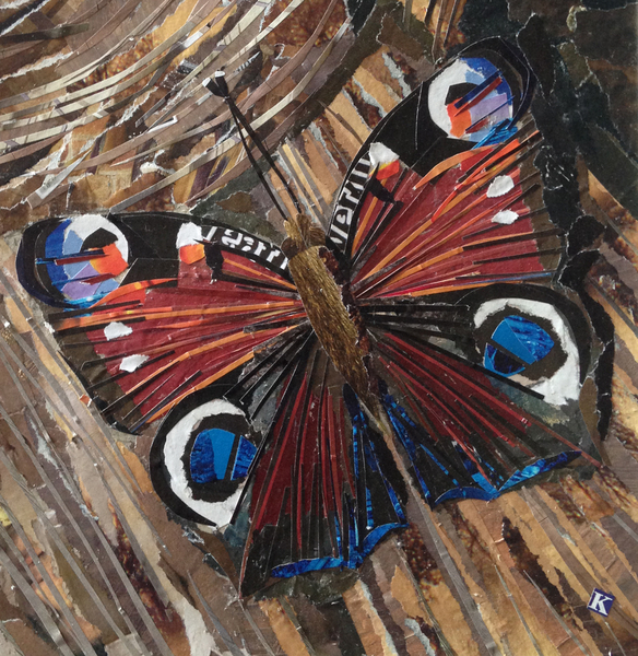 Awaken Peacock Butterfly On Woodpile from Kirstie Adamson
