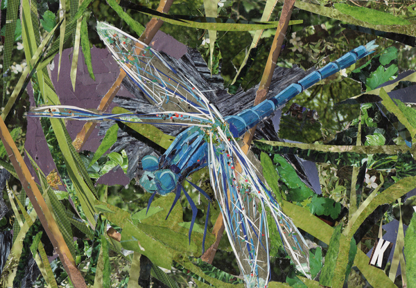 Blue Dragonfly from Kirstie Adamson
