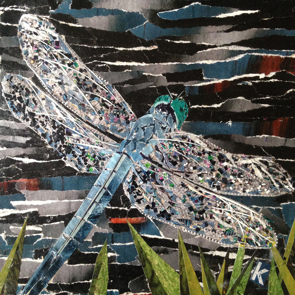 Dart - Emperor Dragonfly At Riverside from Kirstie Adamson
