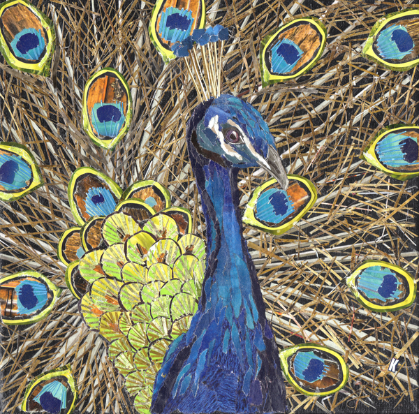 Peacock from Kirstie Adamson