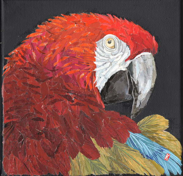 Red Macaw Parrot from Kirstie Adamson