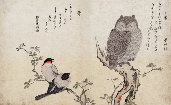 An Owl and two Eastern Bullfinches, from an album 'Birds compared in Humorous Songs, Contest of Poet from Kitagawa  Utamaro