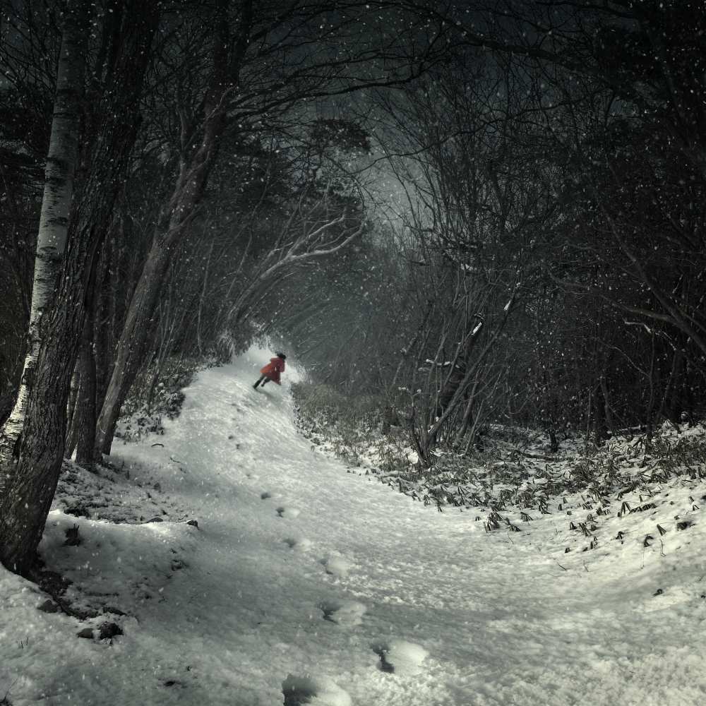 Into the winter forest from Kiyo Murakami