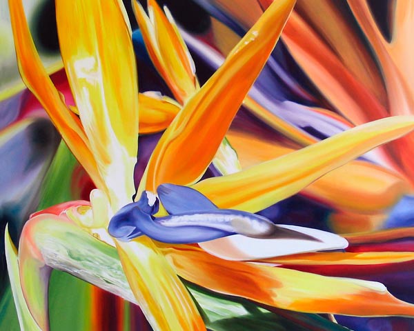 Birds of Paradise from James Knowles