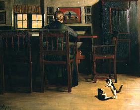 Interior with Playful Kittens