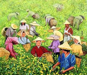 Tea Picking Girl, 1994 (gouache on silk) 