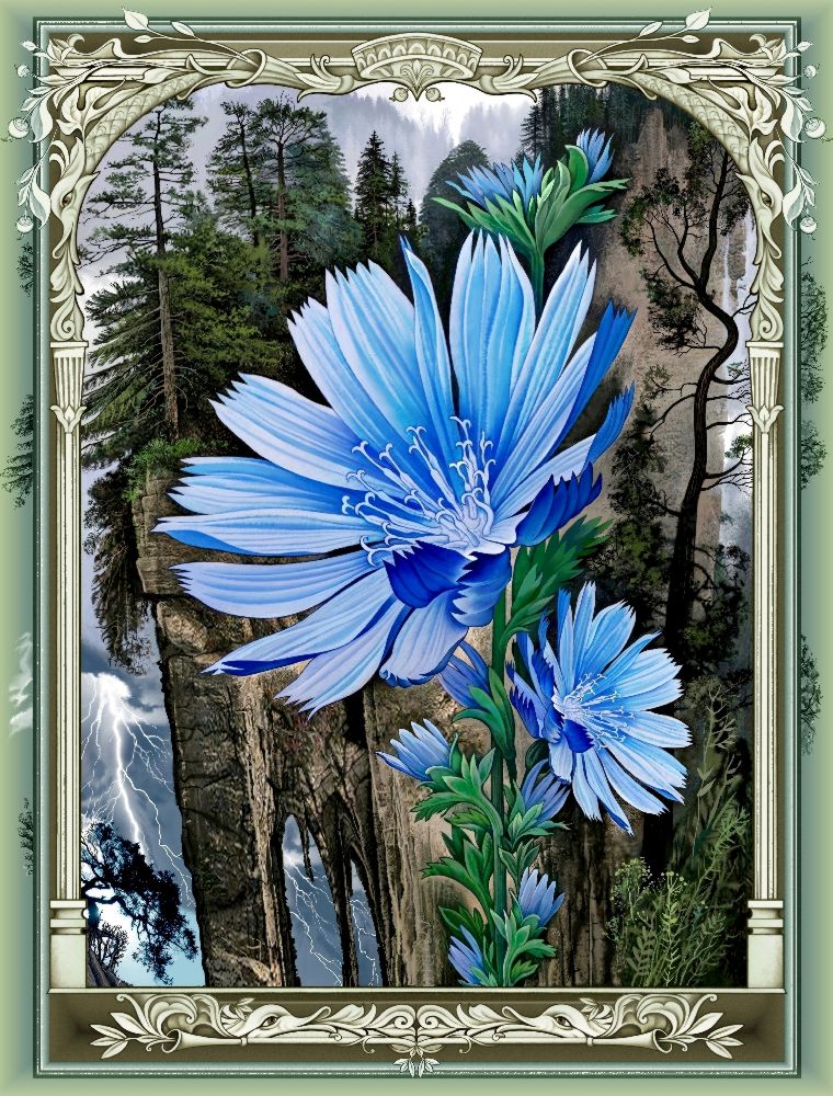 Blauen Blumen (Variante) from Konstantin Avdeev
