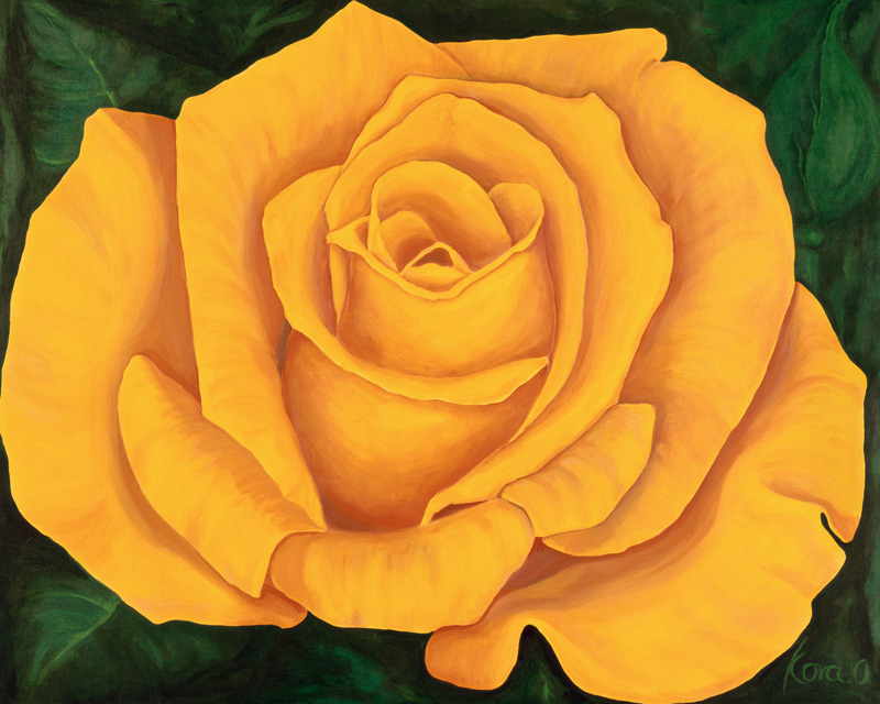 Yellow Rose Landora from Kora Olbrich