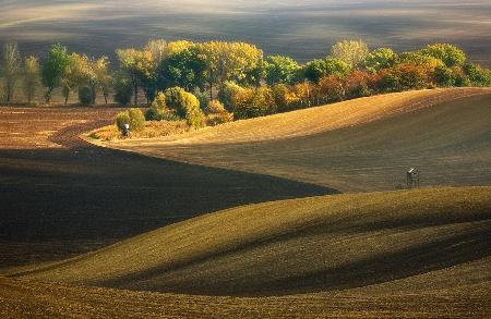 Autumn fields...