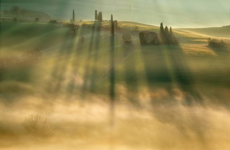 Mist... from Krzysztof Browko