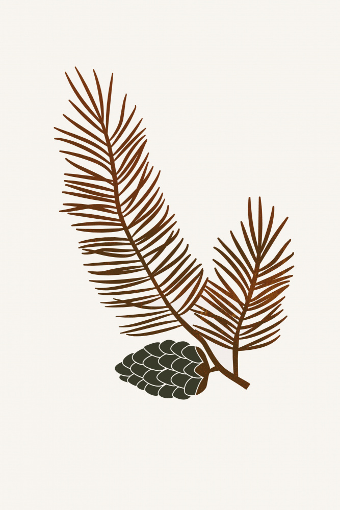 Pine from Kubistika