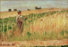 Untitled (Farmer in a Field of Wheat)