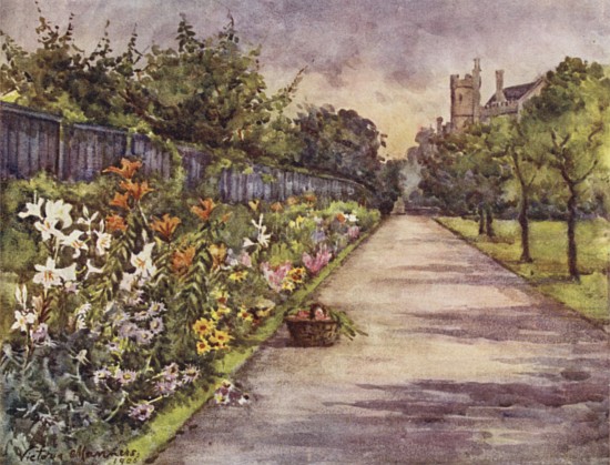 Herbaceous Border, Lambeth Palace from Lady Victoria Marjorie Harriet Manners