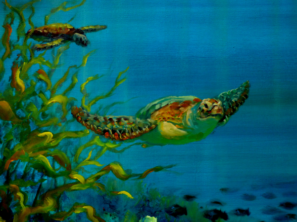 Green Turtle from Lee Campbell