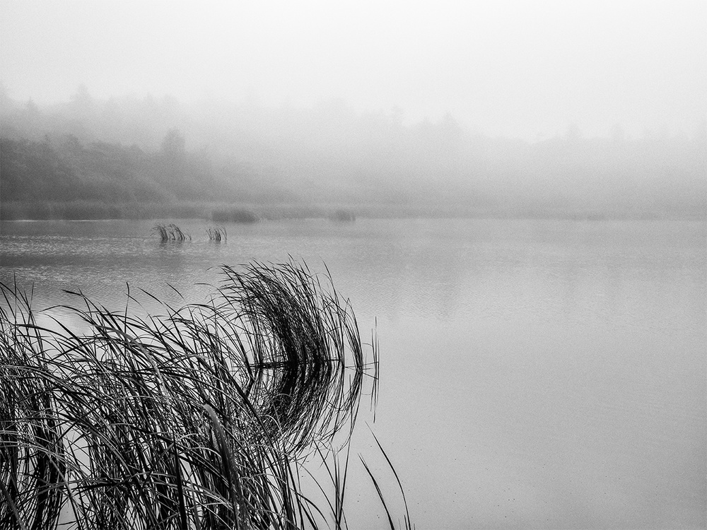 Lake mood on a foggy day from Leif Løndal