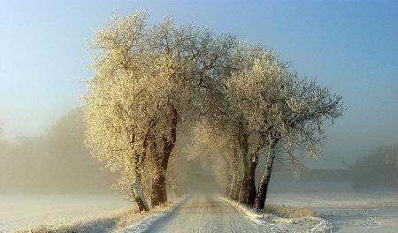 Winter  gateway