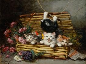 A basket full of cats