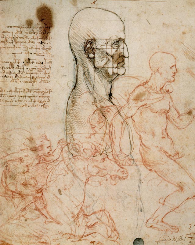 Anatomical studies - Leonardo da Vinci as art print or hand painted oil.