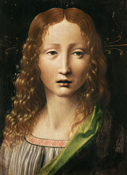 Head of the Saviour from Leonardo da Vinci