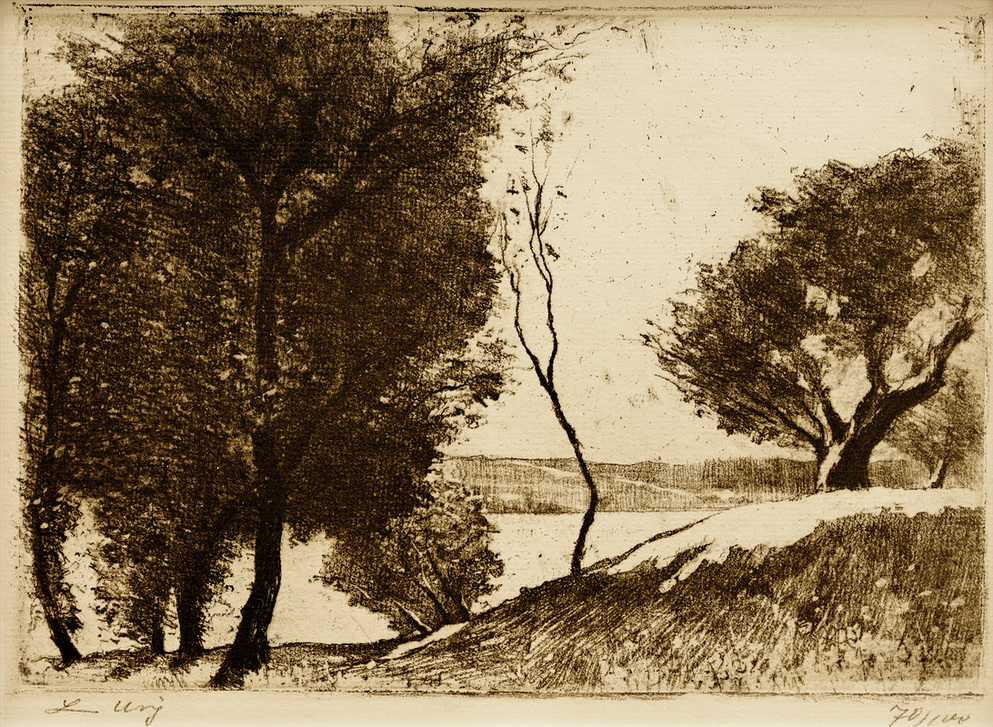 Baumbestandenes Ufer am märkischen See from Lesser Ury
