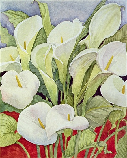 Arum Lillies, 1978 (watercolour) from Lillian  Delevoryas
