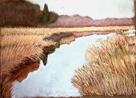 Full Tide, 1990 (pastel on paper)  from Lillian  Delevoryas