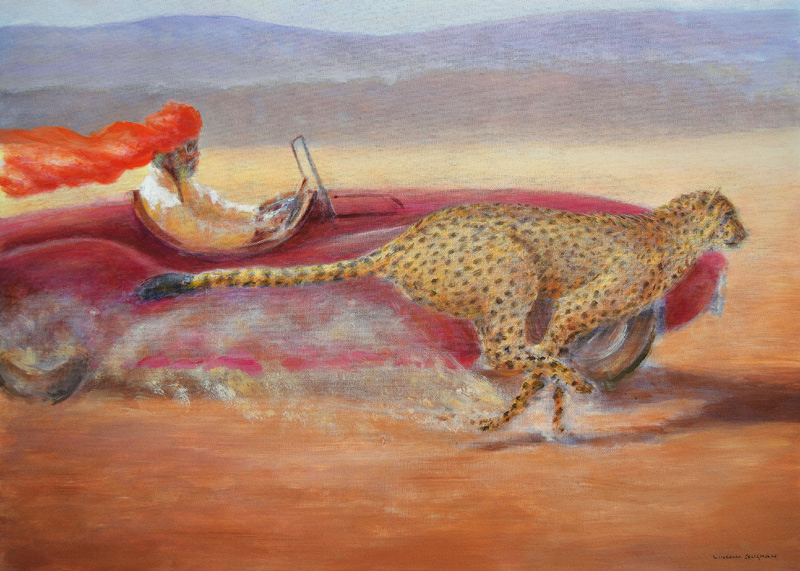 Cheetah versus Jaguar from Lincoln  Seligman