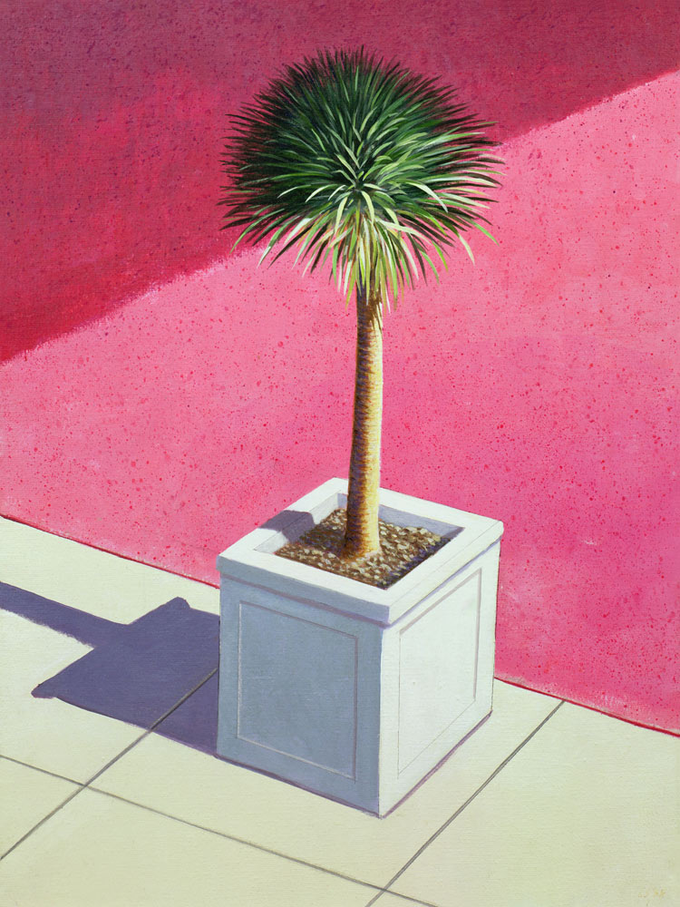 Small palm, 1995 (acrylic on canvas)  from Lincoln  Seligman