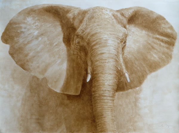 Elephant, 2004 (acrylic on paper)  from Lincoln  Seligman