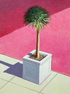 Small palm, 1995 (acrylic on canvas) 