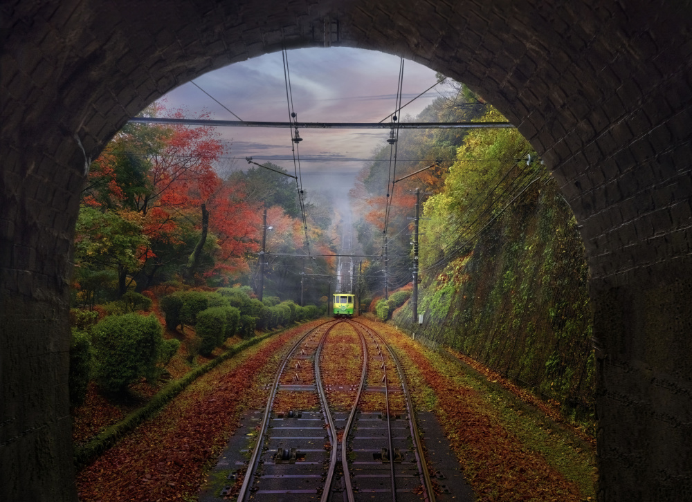 The Train, Japan from Lisa D. Tang