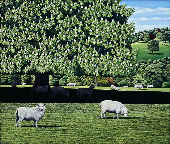 Dorset Parkland, 2007 (oil on canvas)  from Liz  Wright