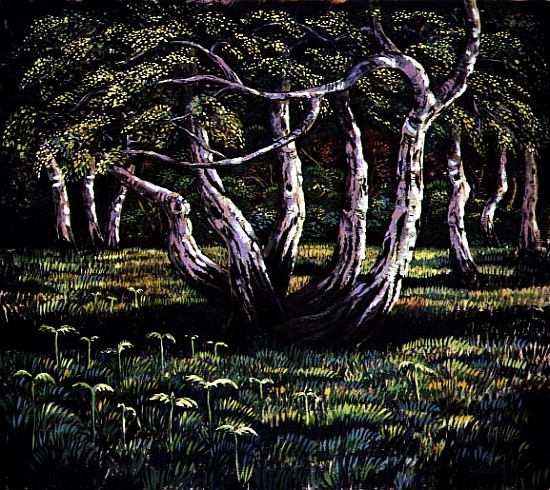 Silver Birch Trees, 1988  from Liz  Wright