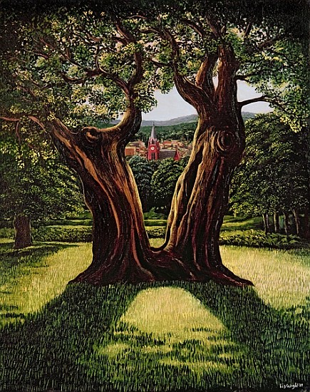 The Divided Tree, Richmond Park, 1989  from Liz  Wright