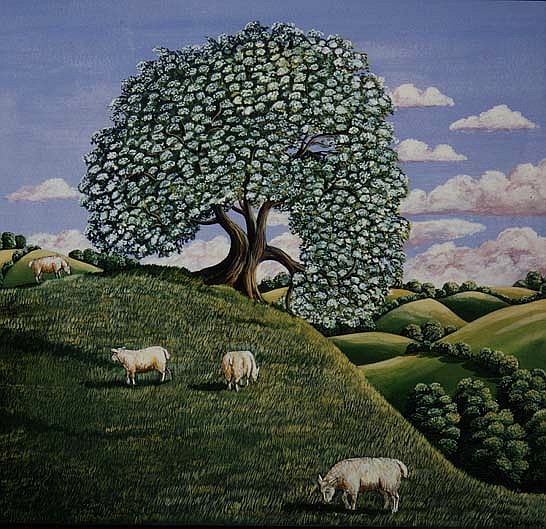 The Hawthorn Tree, 1981 (gouache)  from Liz  Wright