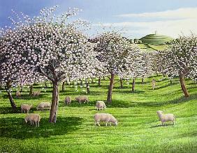 Celebration of Apple Blossom in Somerset, 2004 (oil on canvas) 