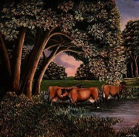 Cows in a River, 1980 