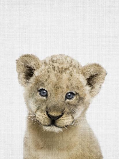 Peekaboo Baby Lion