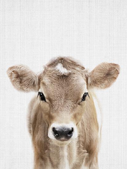 Peekaboo Baby Cow