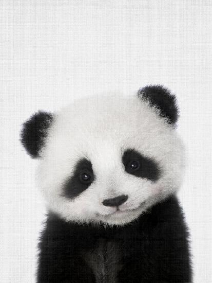 Peekaboo Baby Panda
