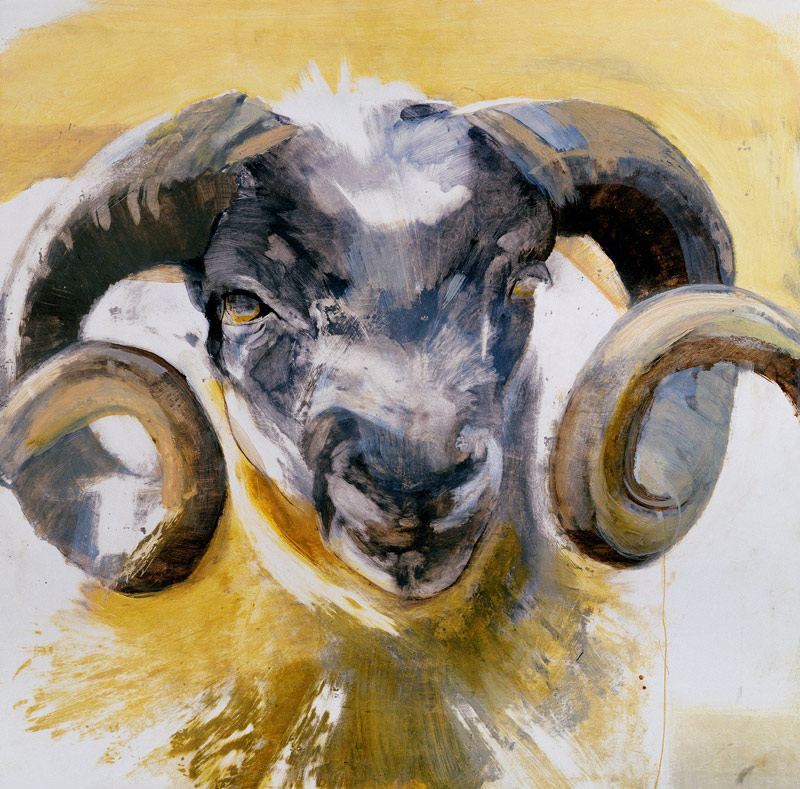 Long Horn Sheep (mixed media)  from Lou  Gibbs