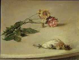 Dead Bird and Two Roses on a Table Board