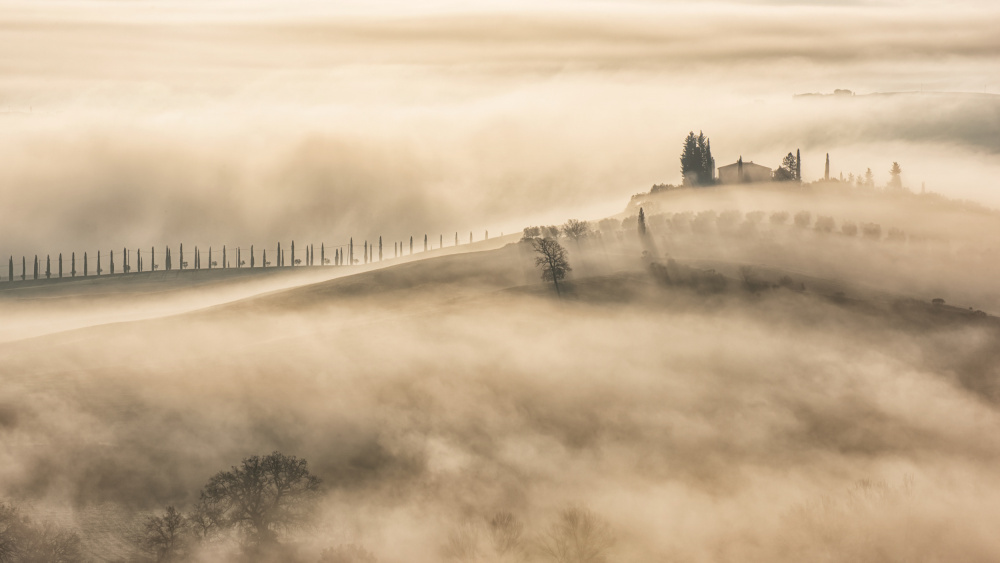 misty Istiano from Luca Domenichi
