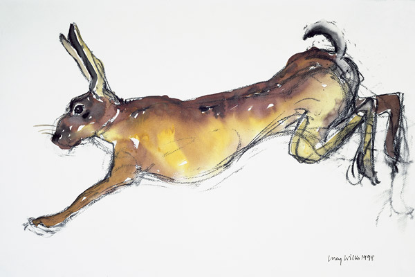 Jumping Hare (w/c & charcoal on paper)  from Lucy Willis
