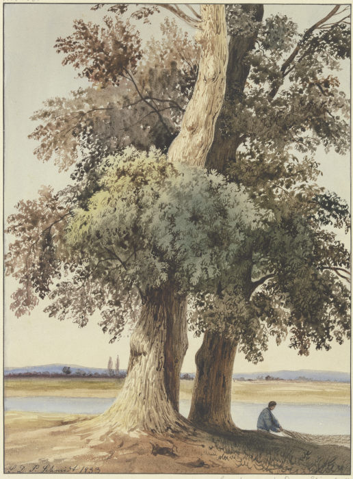 Two trees on the river from Ludwig Daniel Philipp Schmidt
