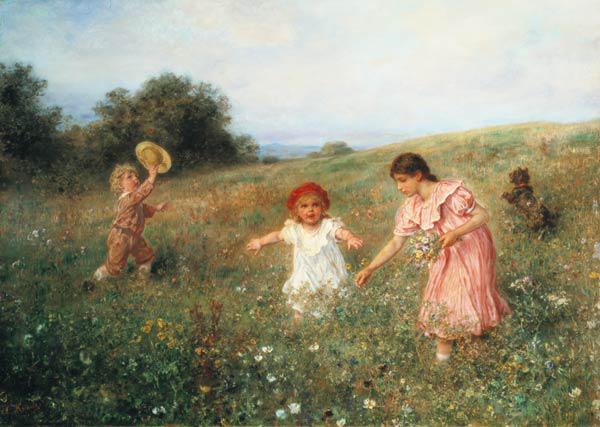 In the spring meadow